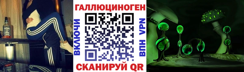 Галлюциногенные грибы мицелий  Валдай 